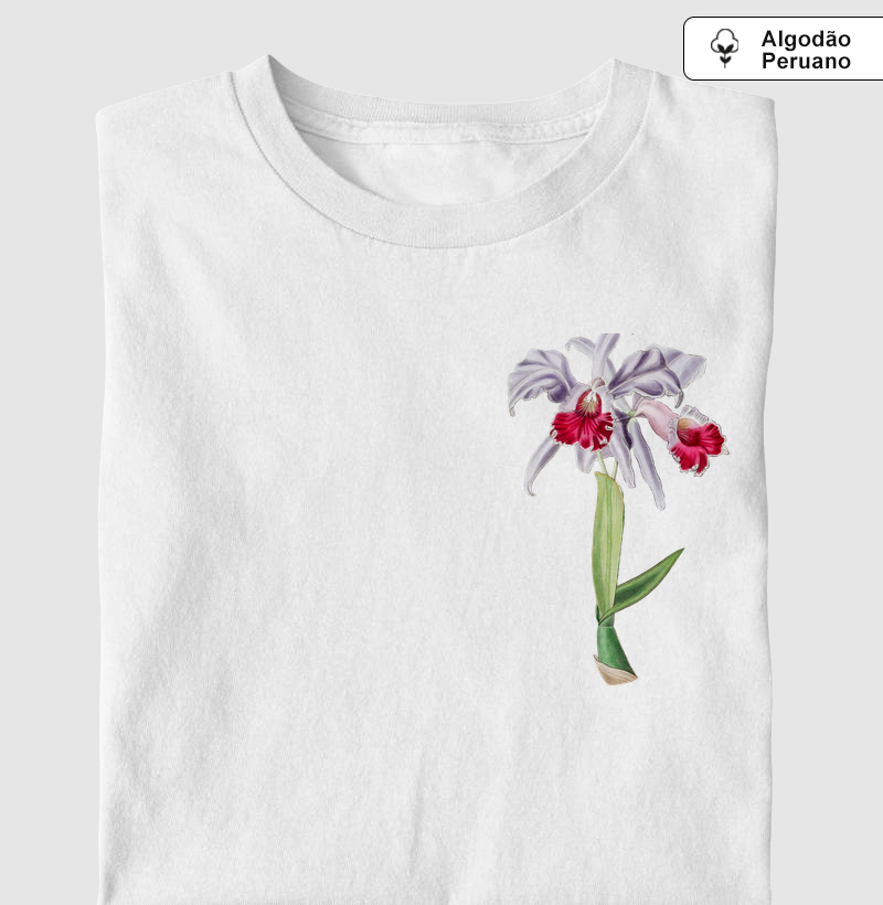 Cattleya labiata