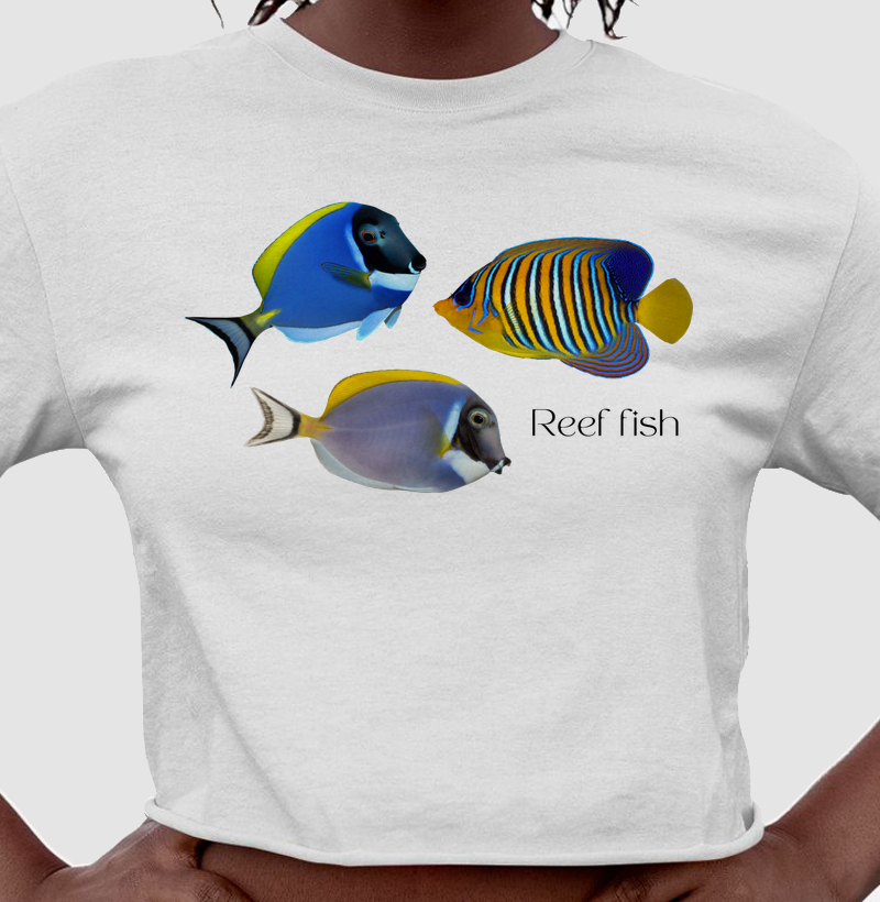 Reef Fish - Cropped