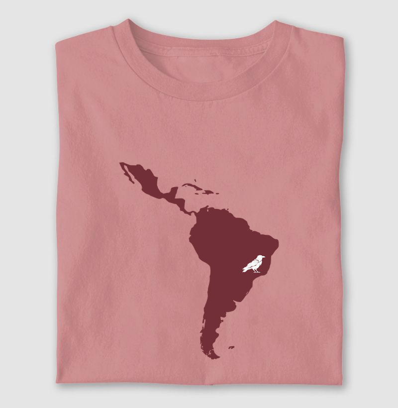 America latina & co.
