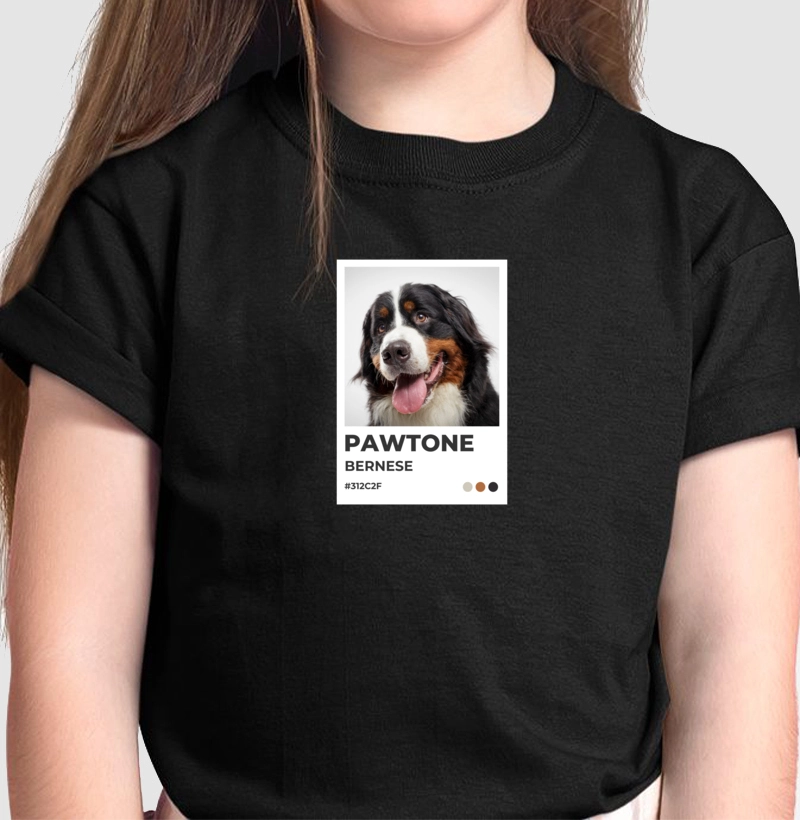 Pawtone Bernese