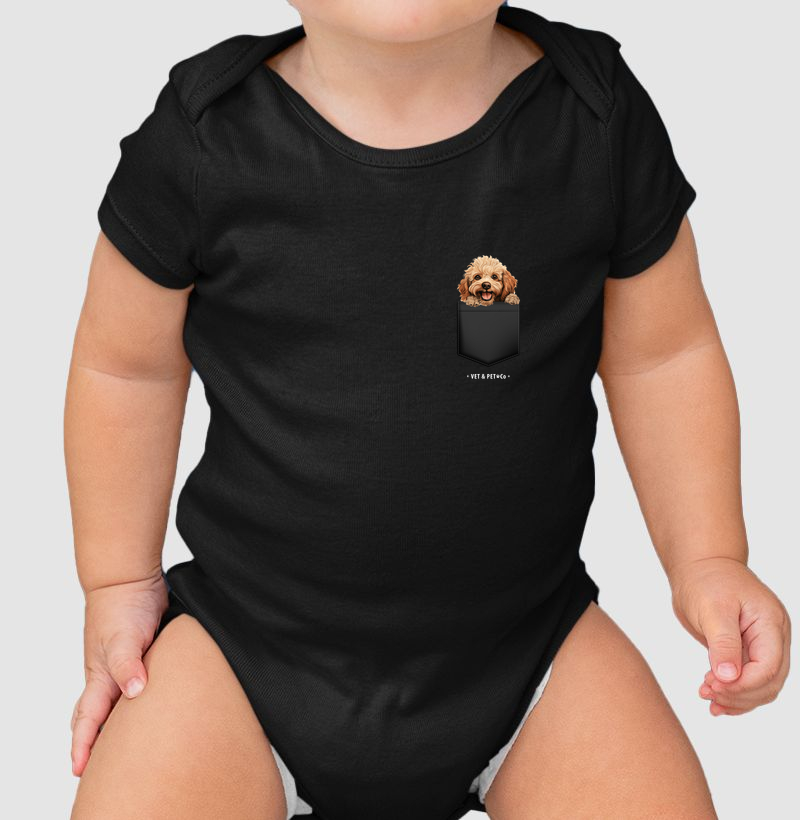 Cachorro de bolso (Poodle Toy)