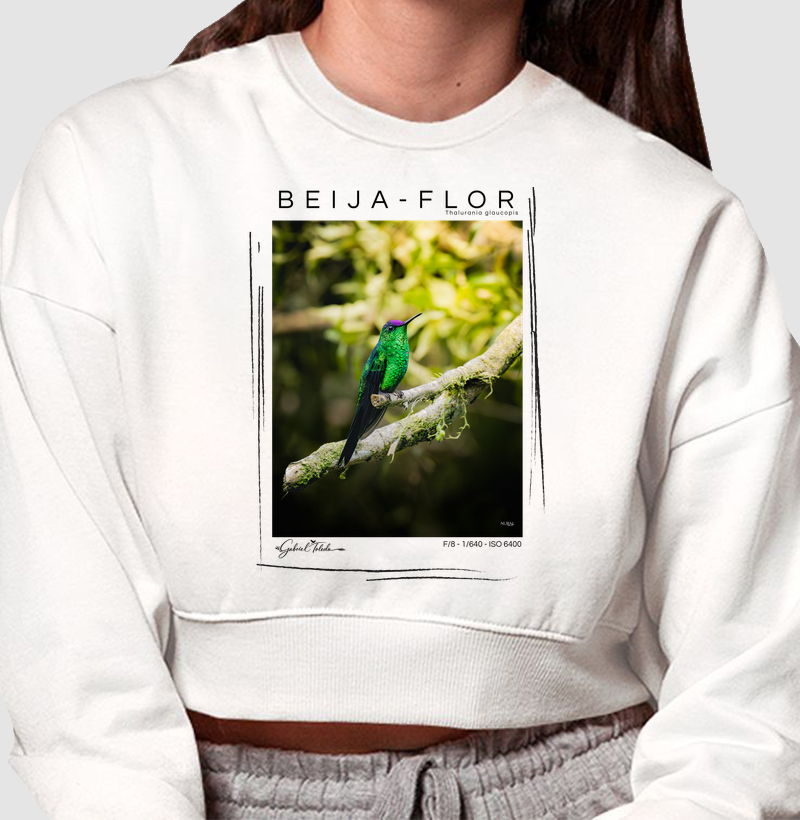 Beija Flor de fronte Violeta