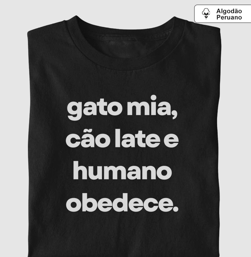 Gato mia, cão late e humano obedece