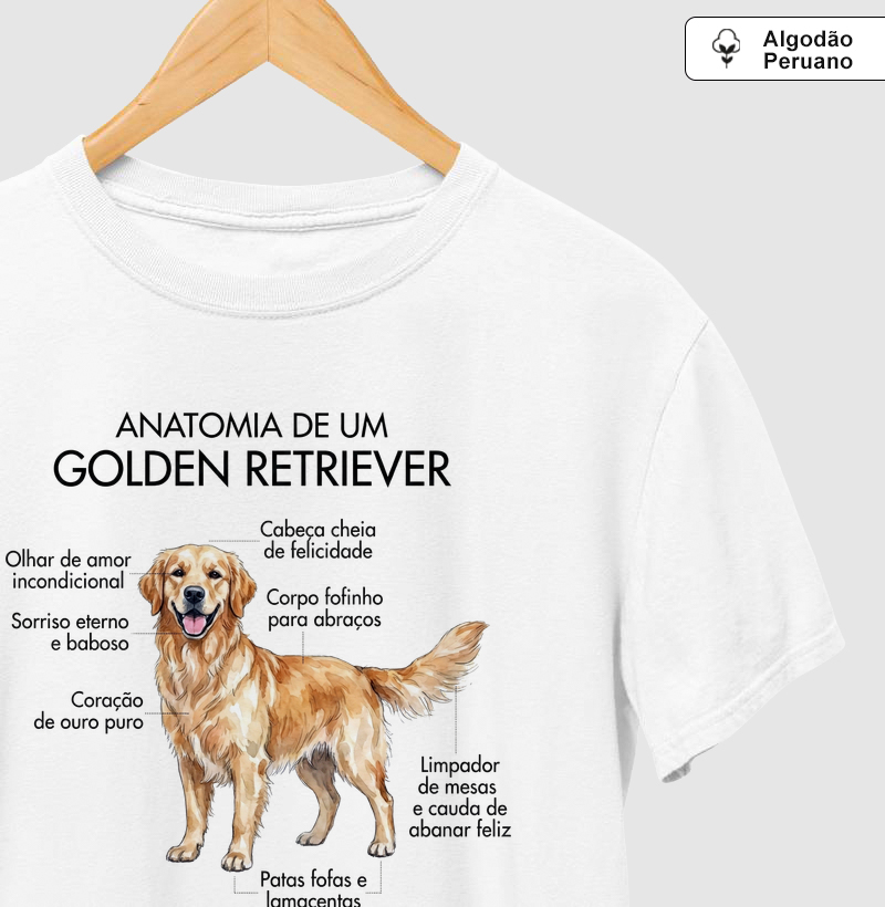 Anatomia Golden Retriever