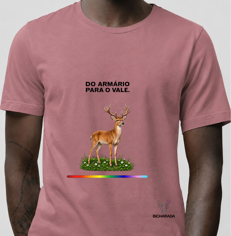 Do armário para o vale