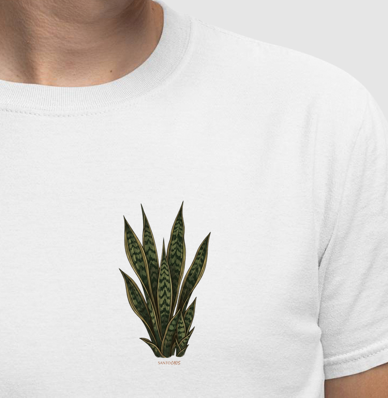 Blindagem Botânica: Espada de São Jorge no Peito