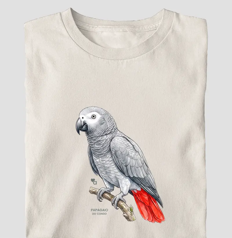 Aves - Papagaio do Congo - Oversized