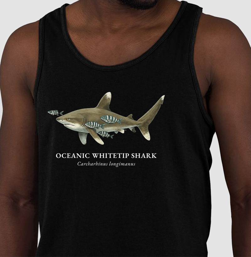 Oceanic Whitetip Shark