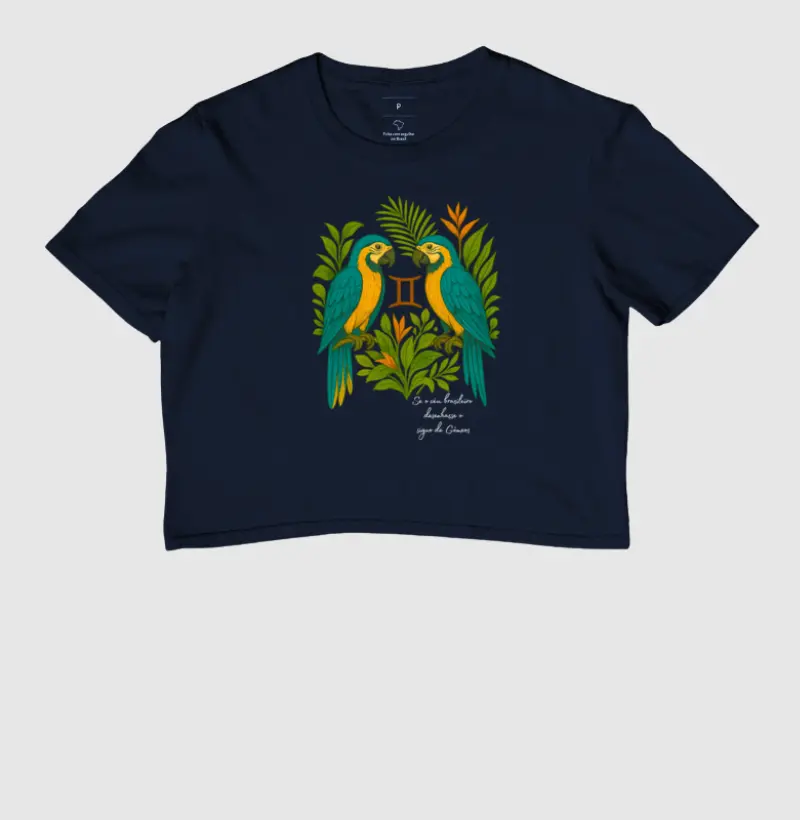 Gêmeos desenhado pelo céu brasileiro