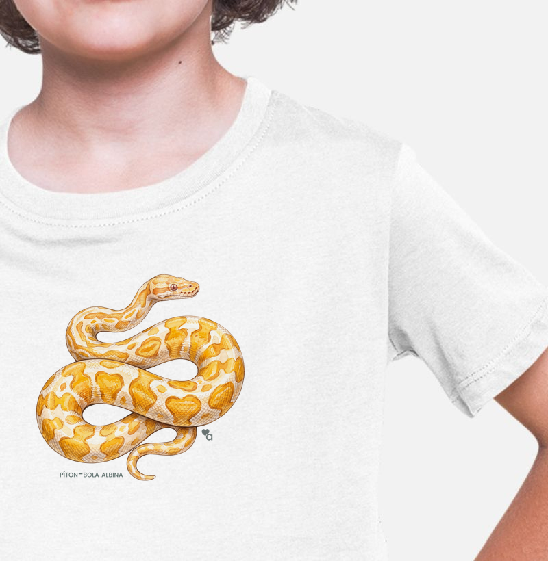 Répteis - Píton-bola albina - Infantil - Camiseta Infantil