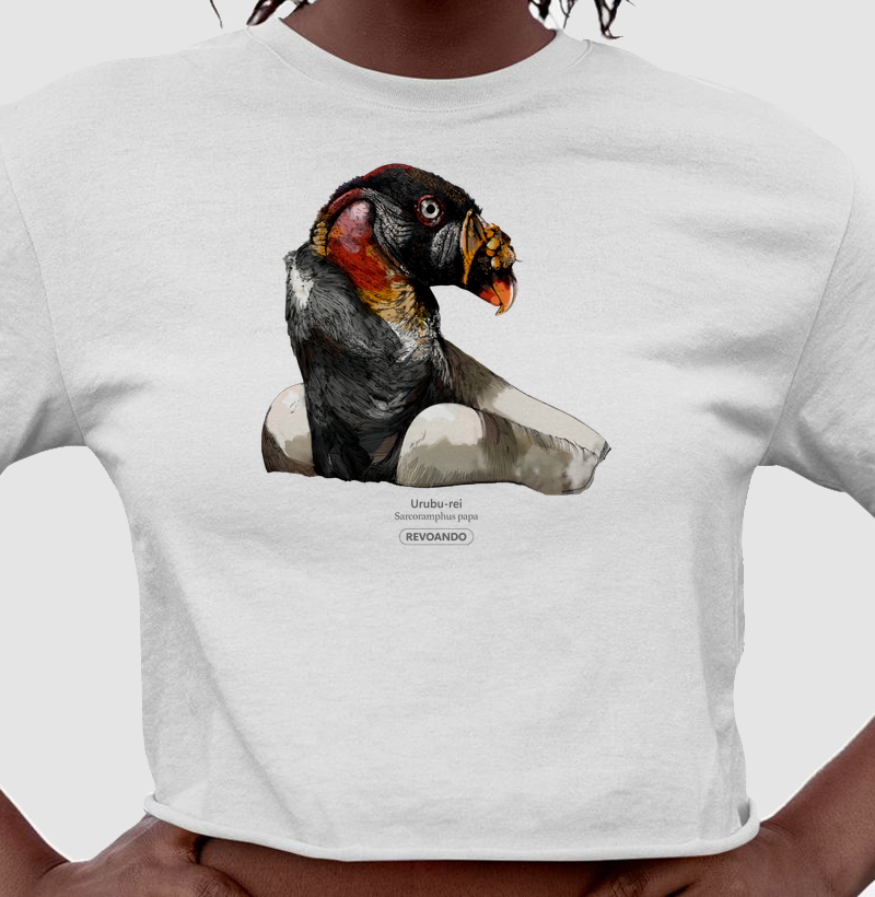 Rapinas Inky - Urubu-rei - Cropped