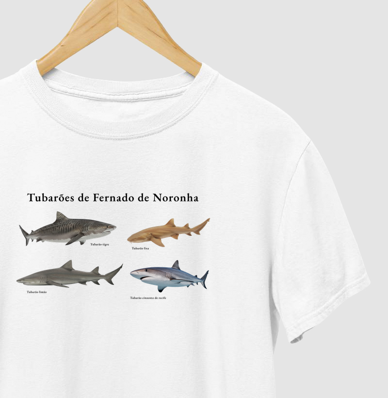 Tubarões de Fernando de Noronha