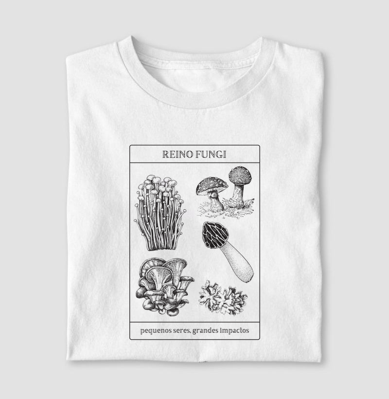 Reino Fungi