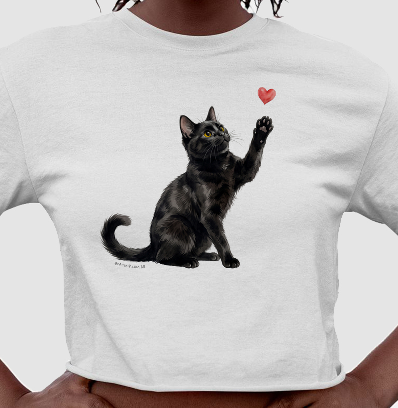 Gato Preto