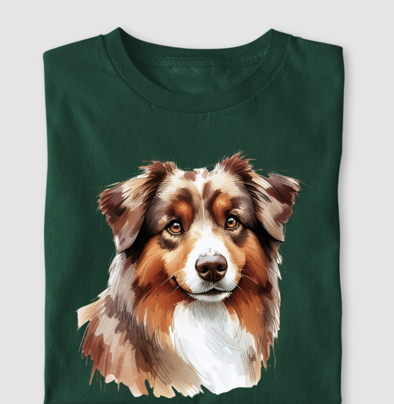 Australian Shepherd Red Merle 03