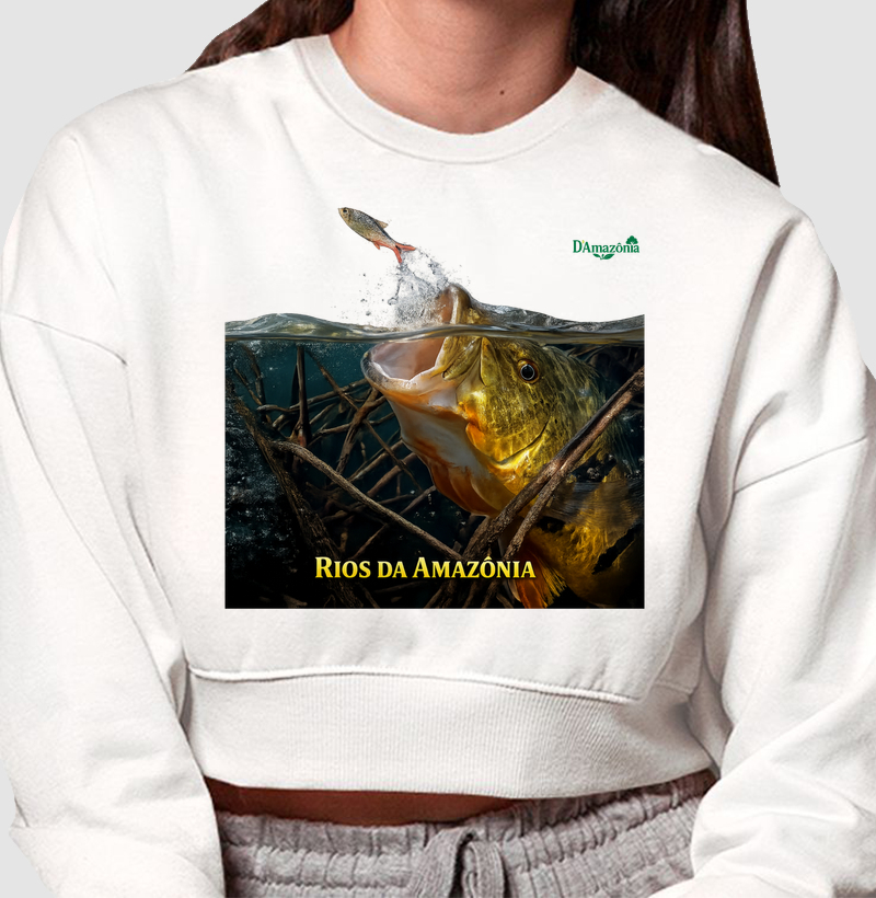 Rios da Amazônia