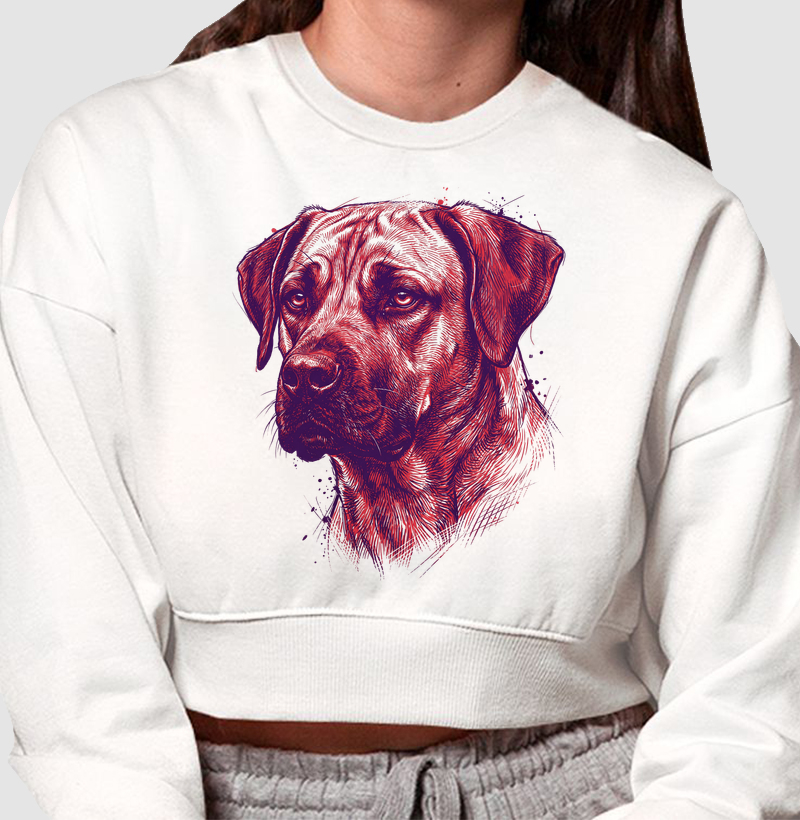 Terra Gaúcha - O Cimarrón Uruguaio