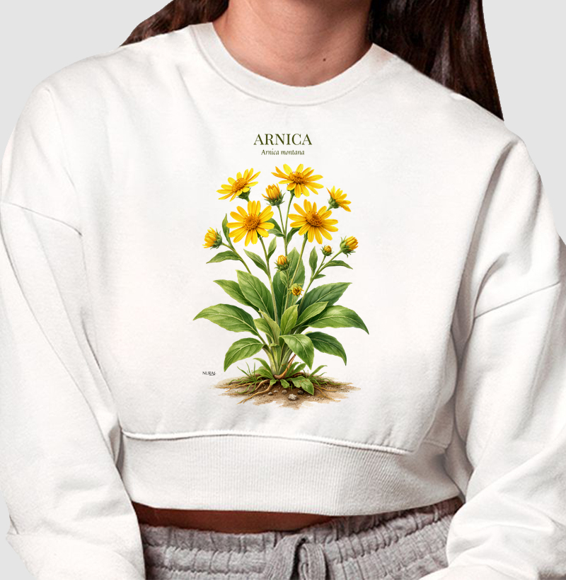 Arnica