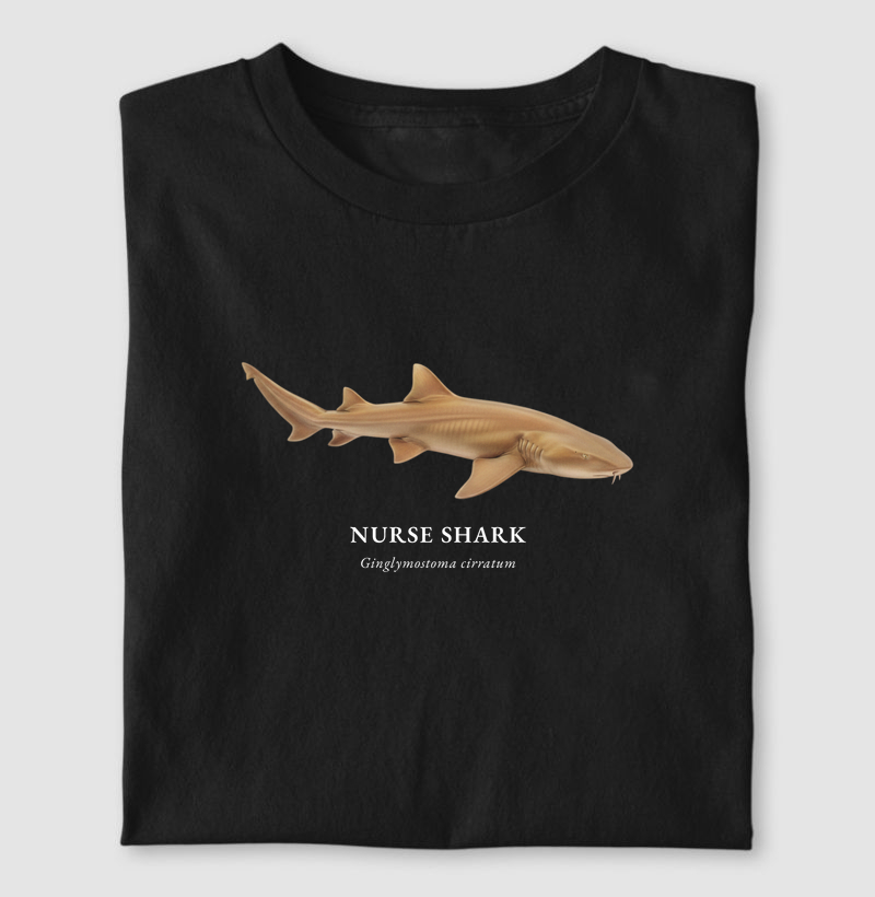 Nurse Shark
