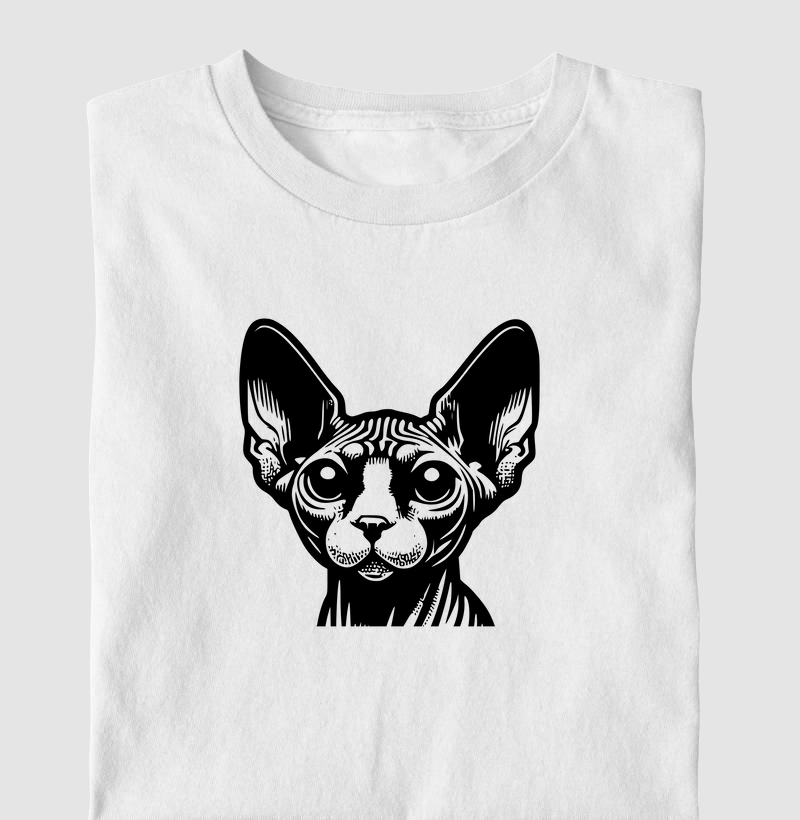 Gato Sphynx