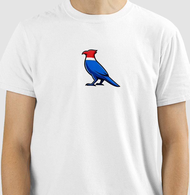 Camisa 0