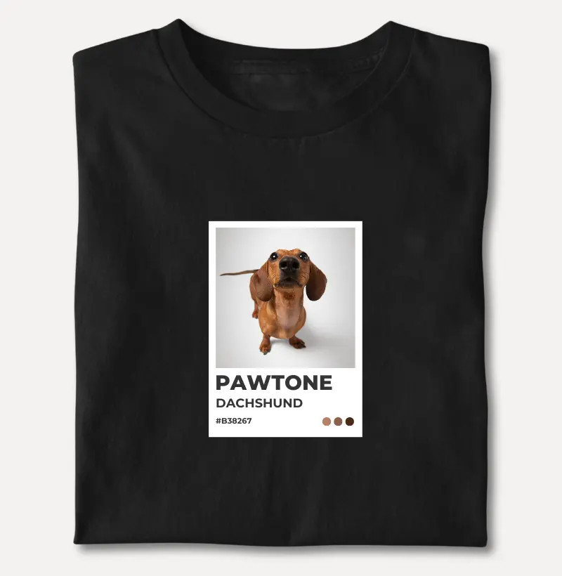 Pawtone Dachshund