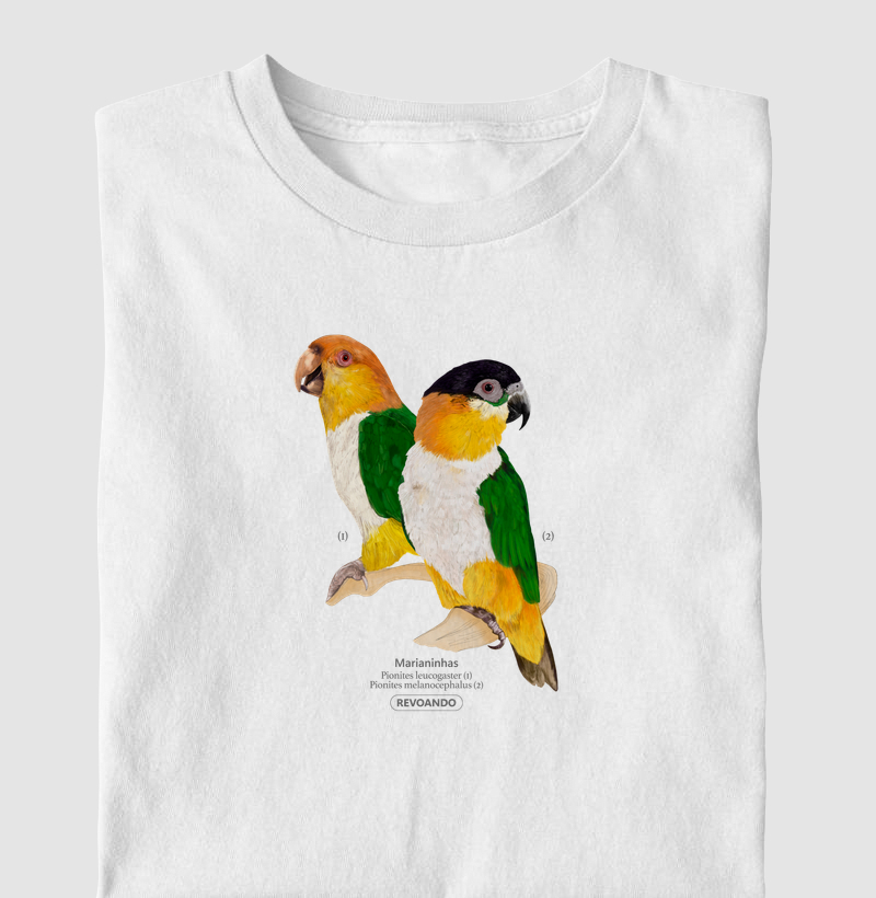 Inky Aves - Marianinhas