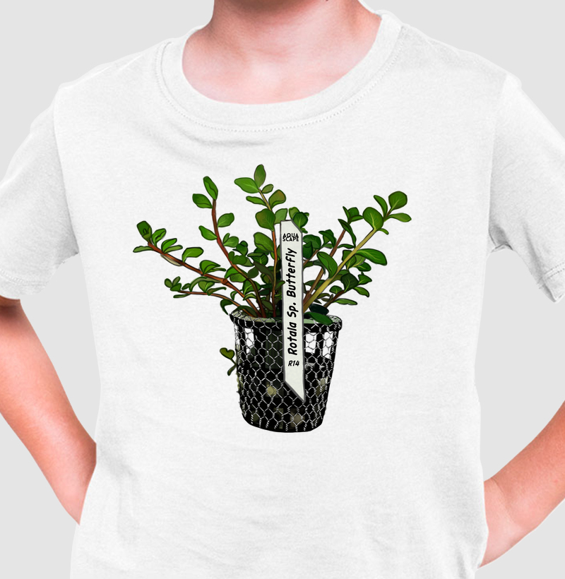 Coleção: Plantas do Aquapaisagismo - Rotala sp. Butterfly