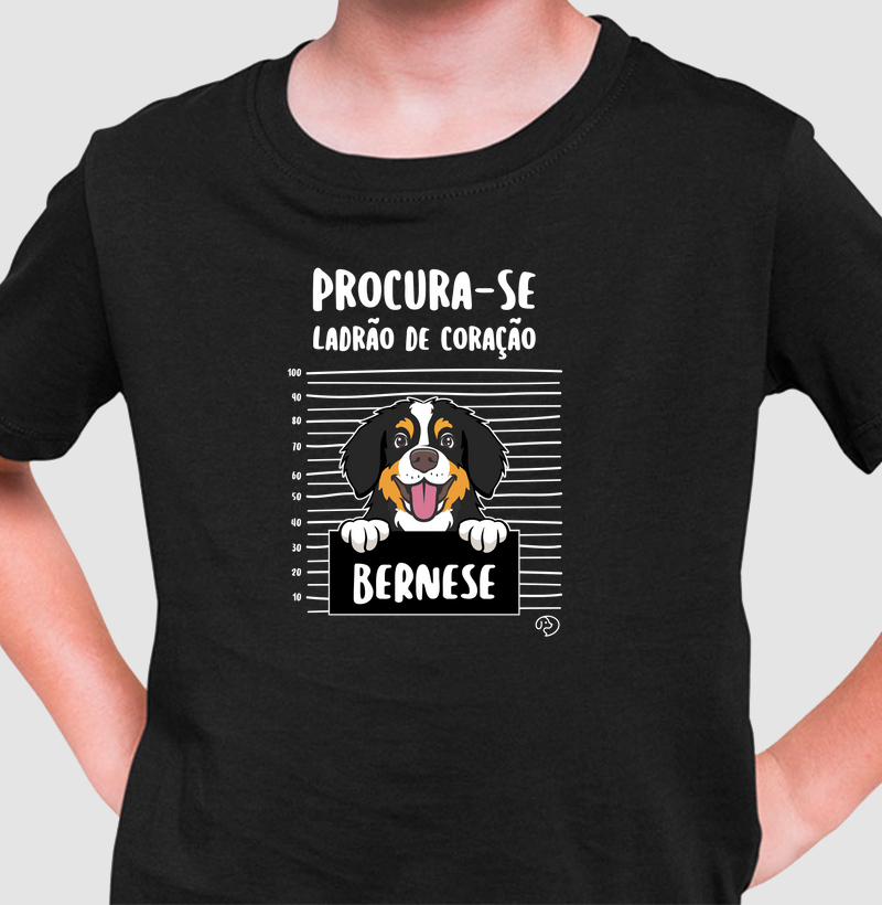 Bernese Ladrão de Coração