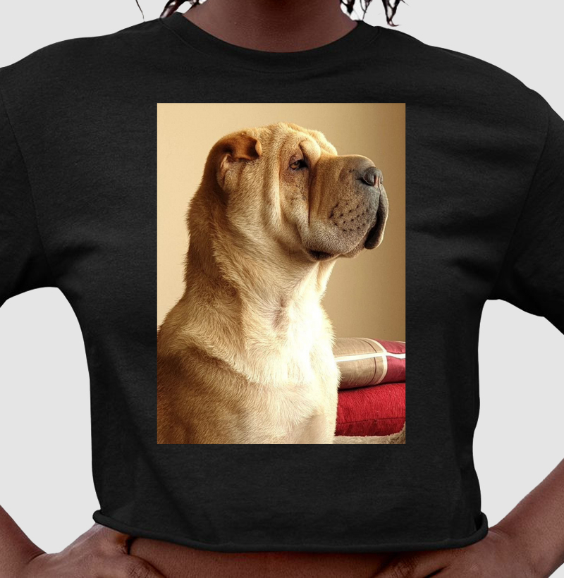 Sharpei Perfil - Crooped