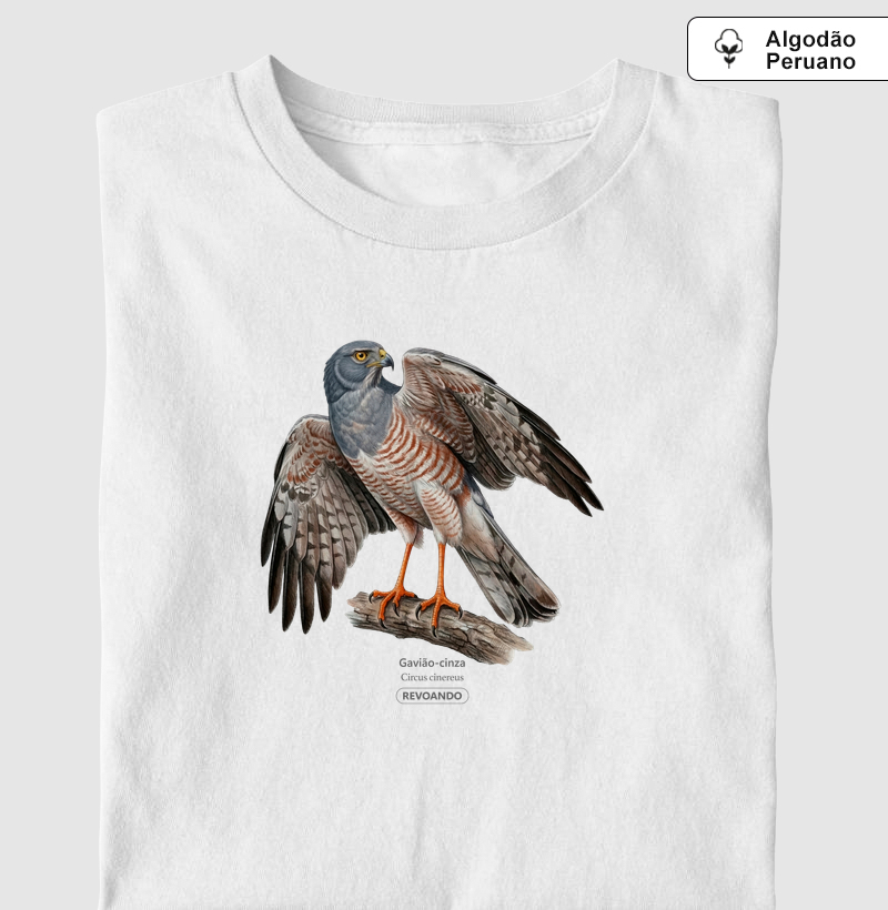 Traços Alados - Gavião-cinza - Algodão Peruano
