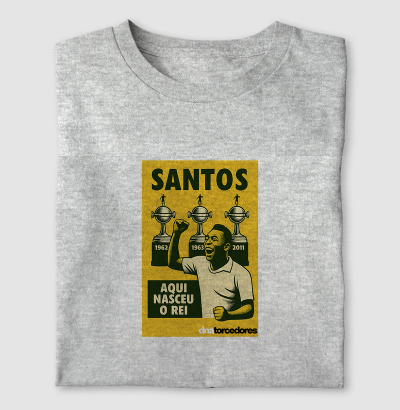 SANTOS - HERÓIS