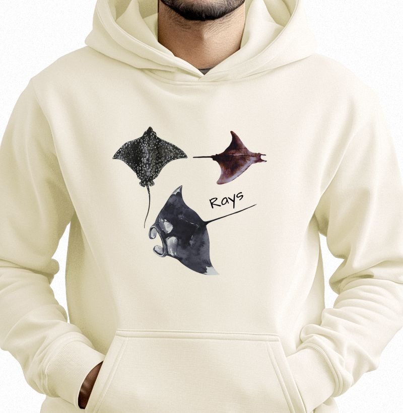 Rays