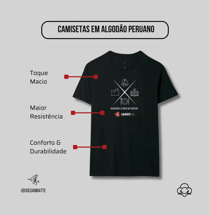 Disciplina é a chave