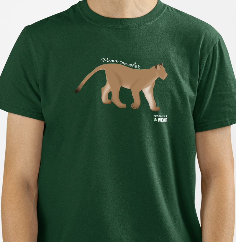 PUMA CONCOLOR - Coleção Felinos