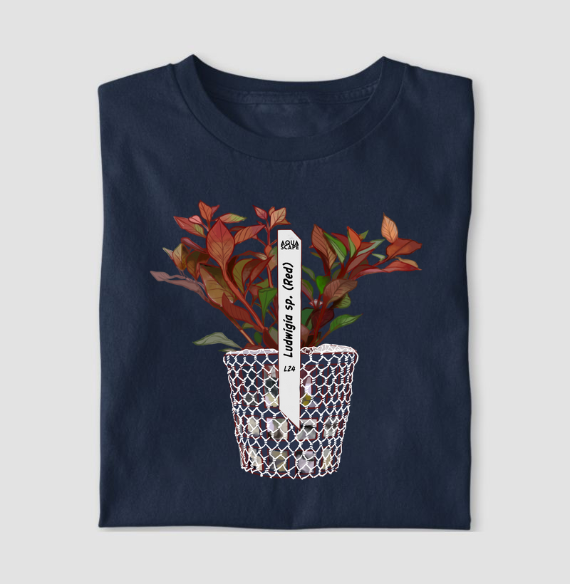 Coleção: Plantas do Aquapaisagismo - Ludwigia sp. (Red)