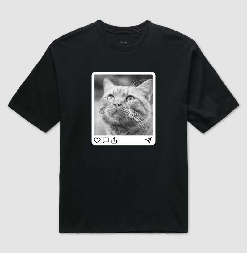 Purrfect Post - Opção Orange Cat