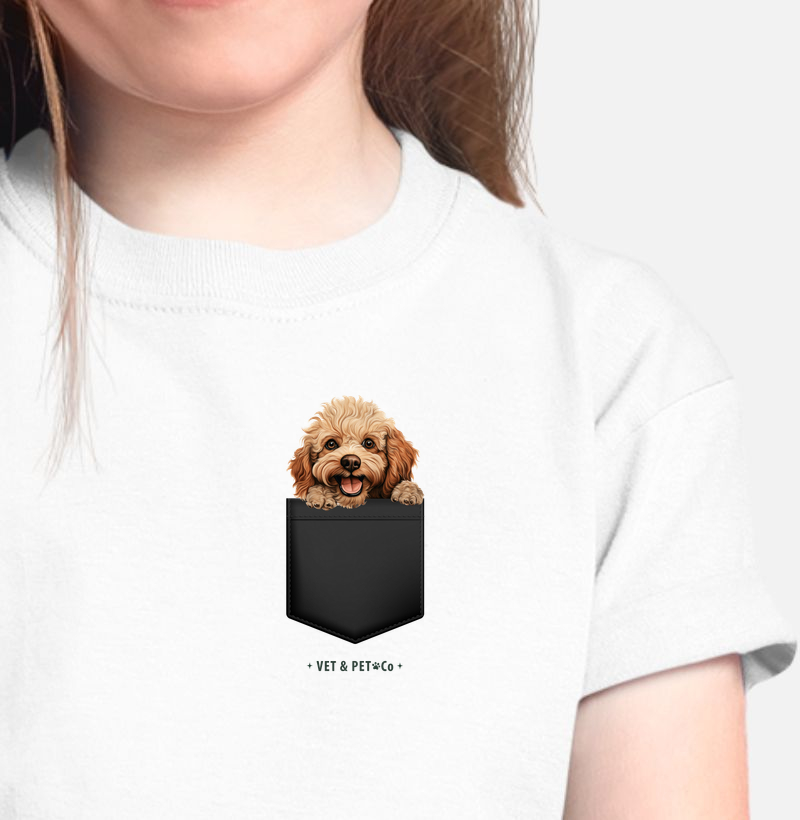 Cachorro de bolso (Poodle Toy)