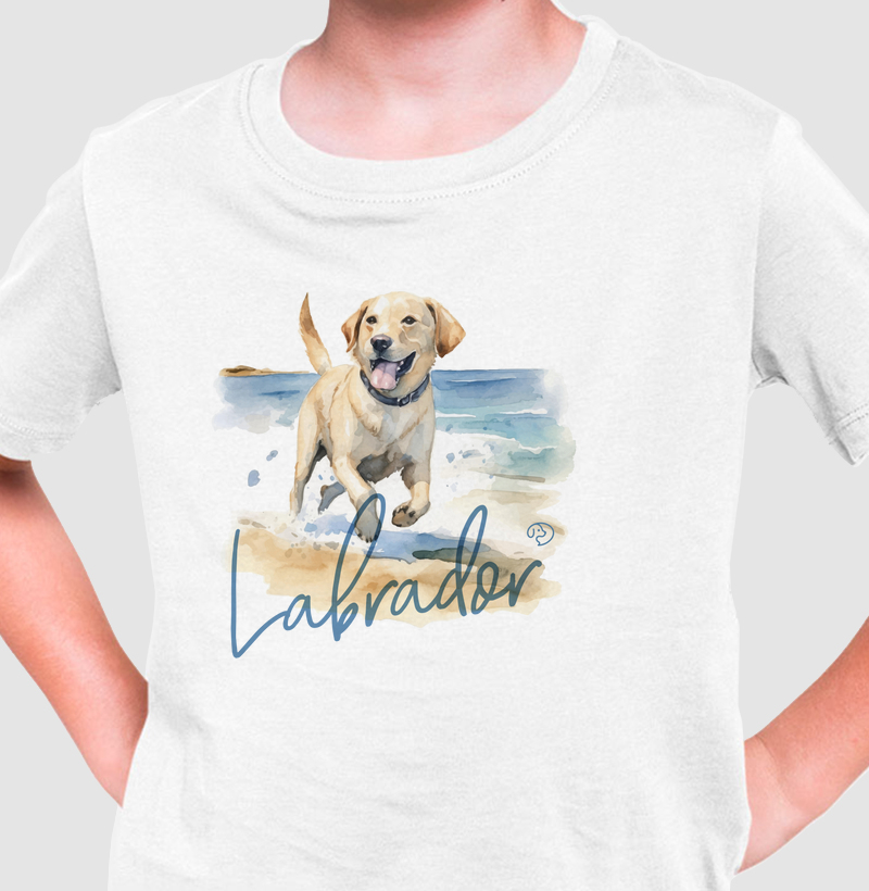 Labrador Splash