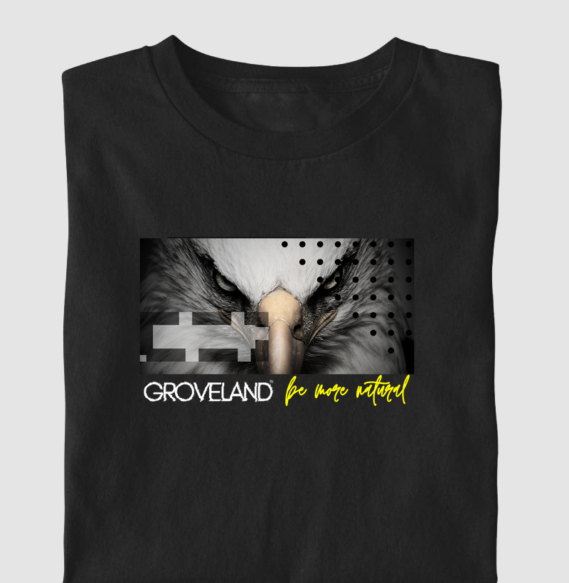 CAMISETA EAGLE WATCH CORES