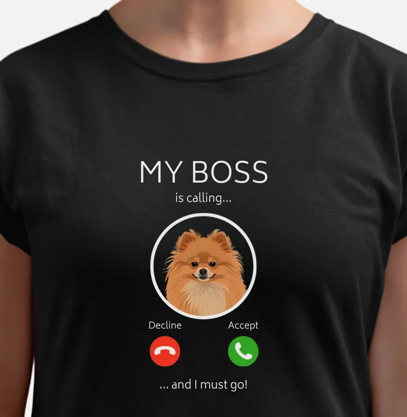 My Boss is calling