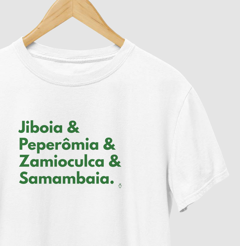 Jiboia, Peperômia, Zamioculca e Samambaia