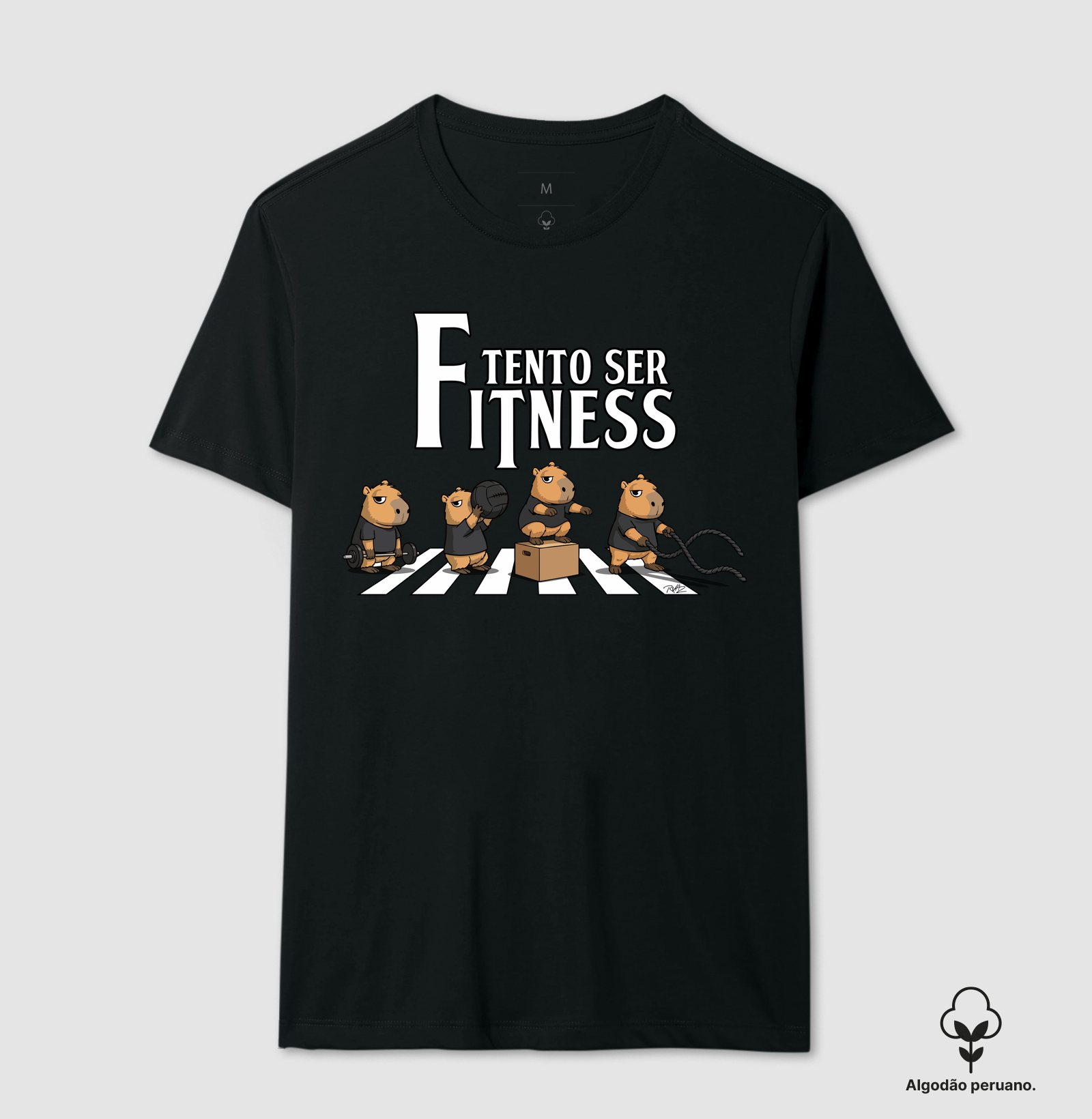 Capyverso Abbey Road Fitness
