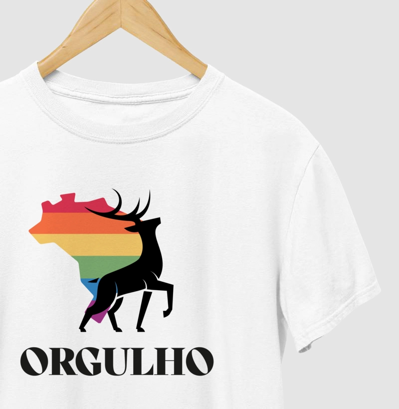 Orgulho LGBTQIAPN+ Brasil 3