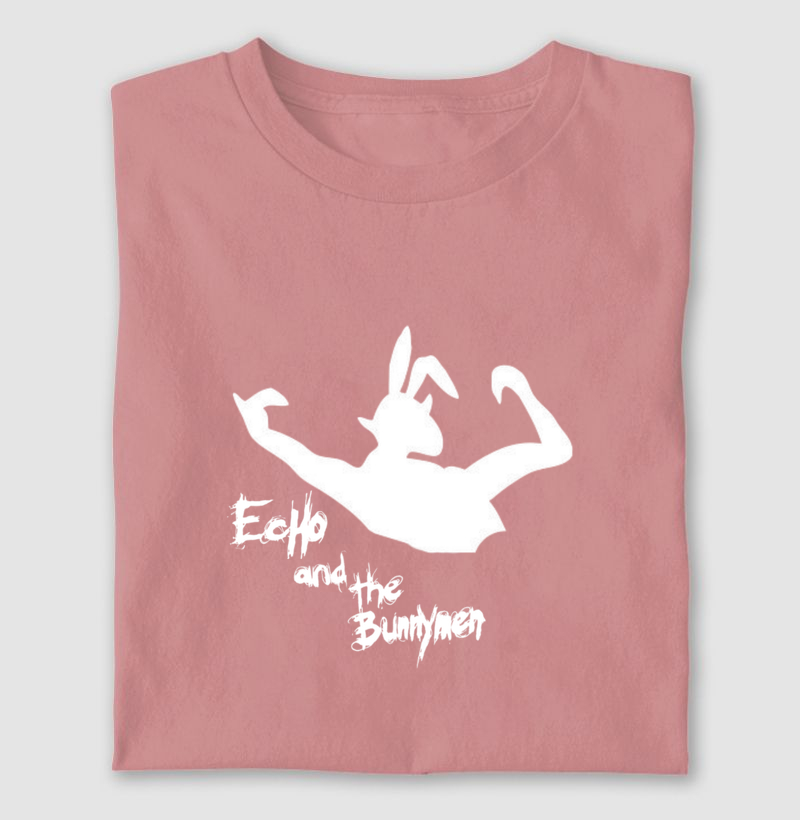 Echo and The Bunnymen