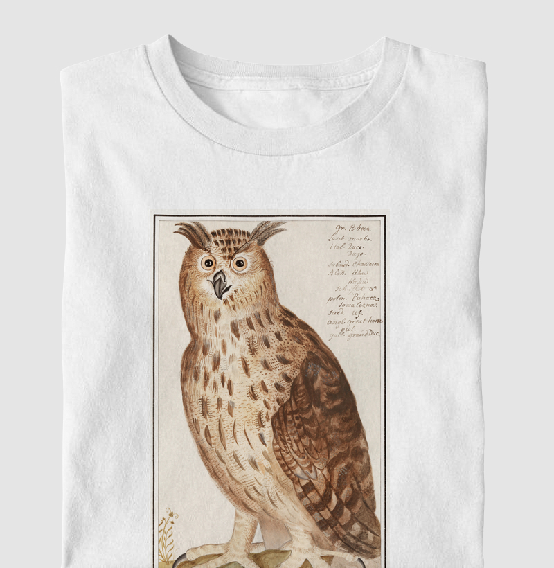 Eagle Owl