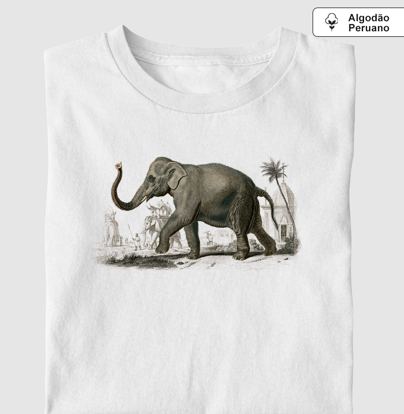 Elefante-asiático