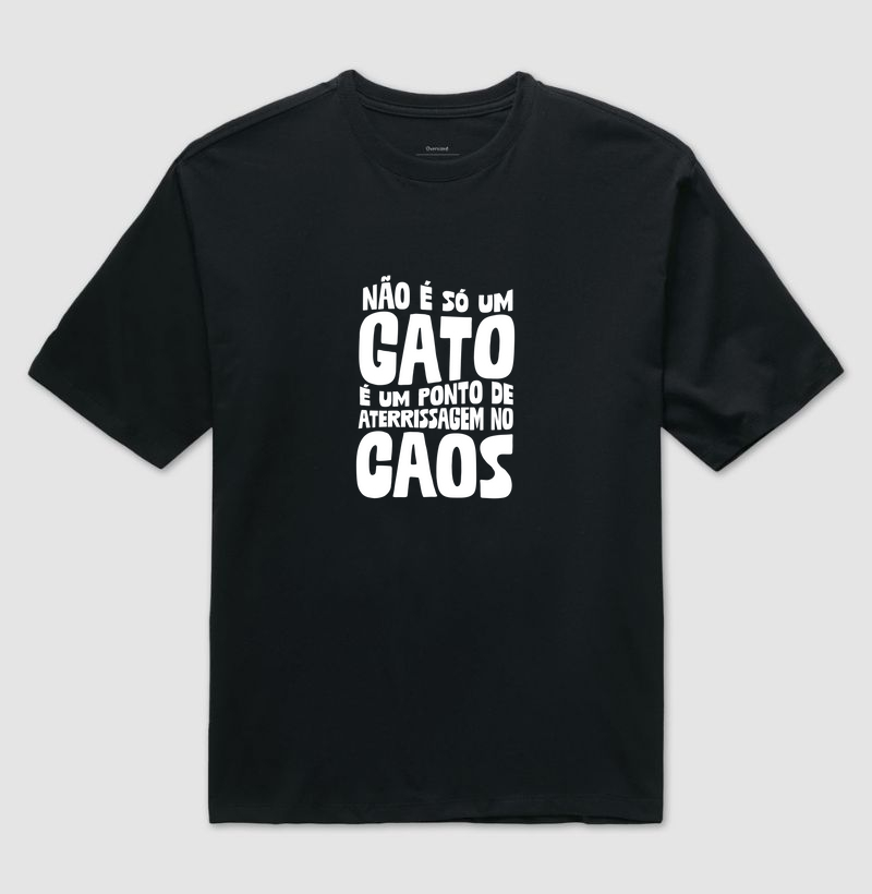 Não é só um gato, é um ponto de aterrissagem no caos