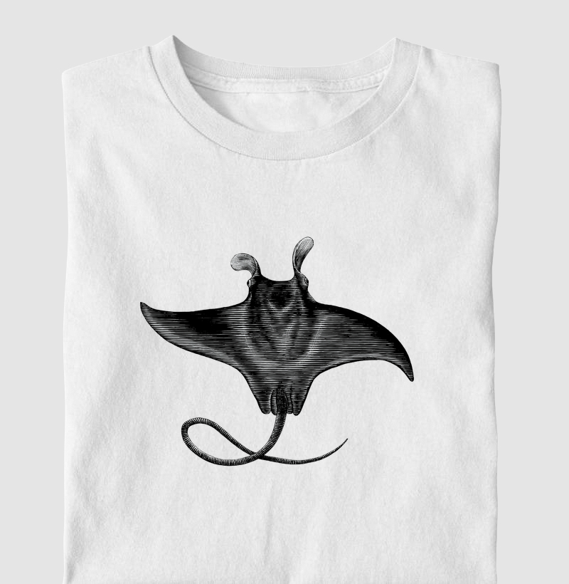 Mobula