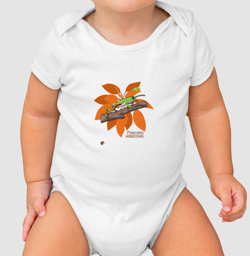 Pithecopus nordestinus